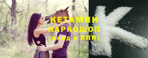 индика Медногорск