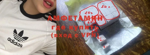 индика Медногорск