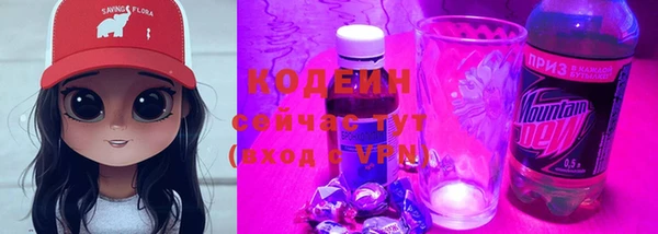 индика Медногорск
