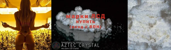 индика Медногорск