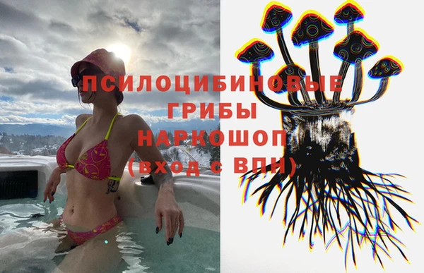 индика Медногорск