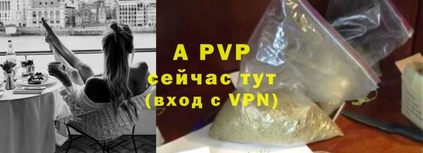 гидра Медвежьегорск