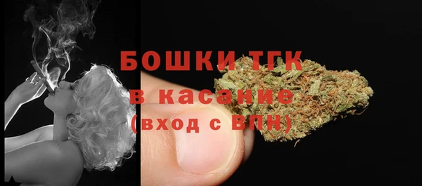индика Медногорск