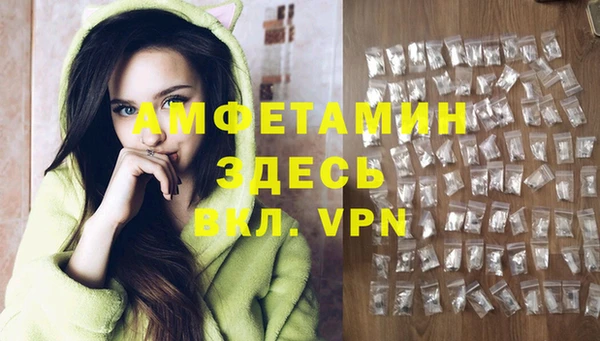 гидра Медвежьегорск