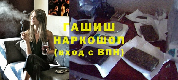 индика Медногорск