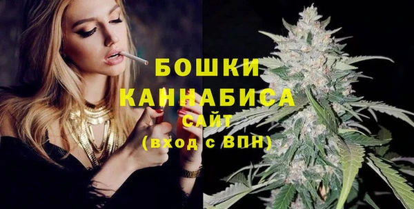 гидра Медвежьегорск