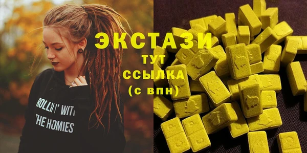 индика Медногорск