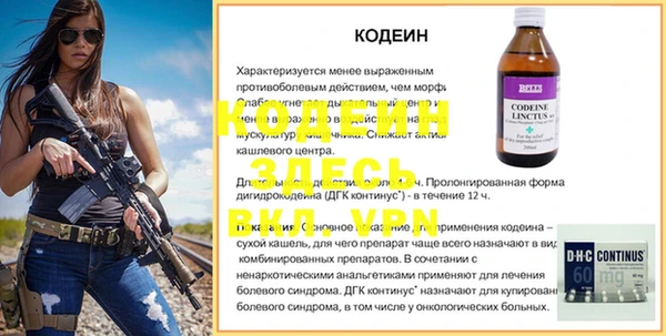 индика Медногорск